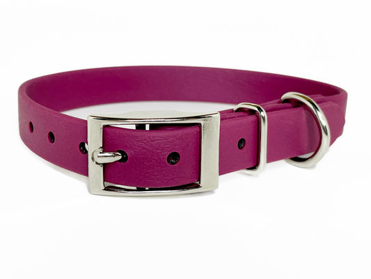 5/8" Stainless Steel Buckle Collar