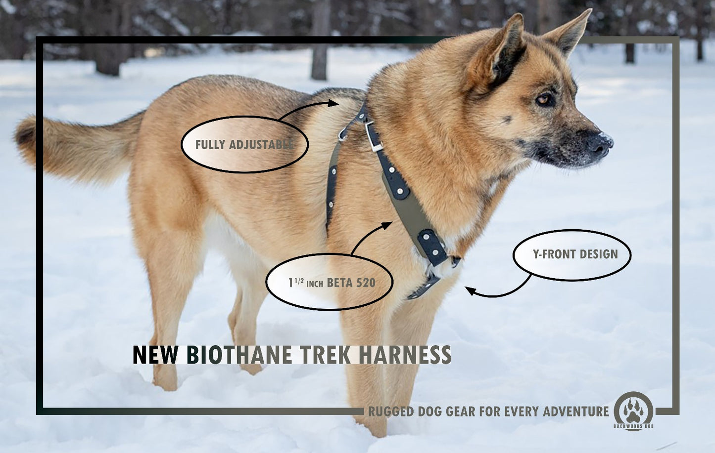 Backwoods Dog BioThane Trek Dog Harness on large husky dog